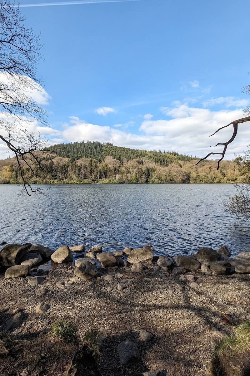 Castlewellan Forest Park
