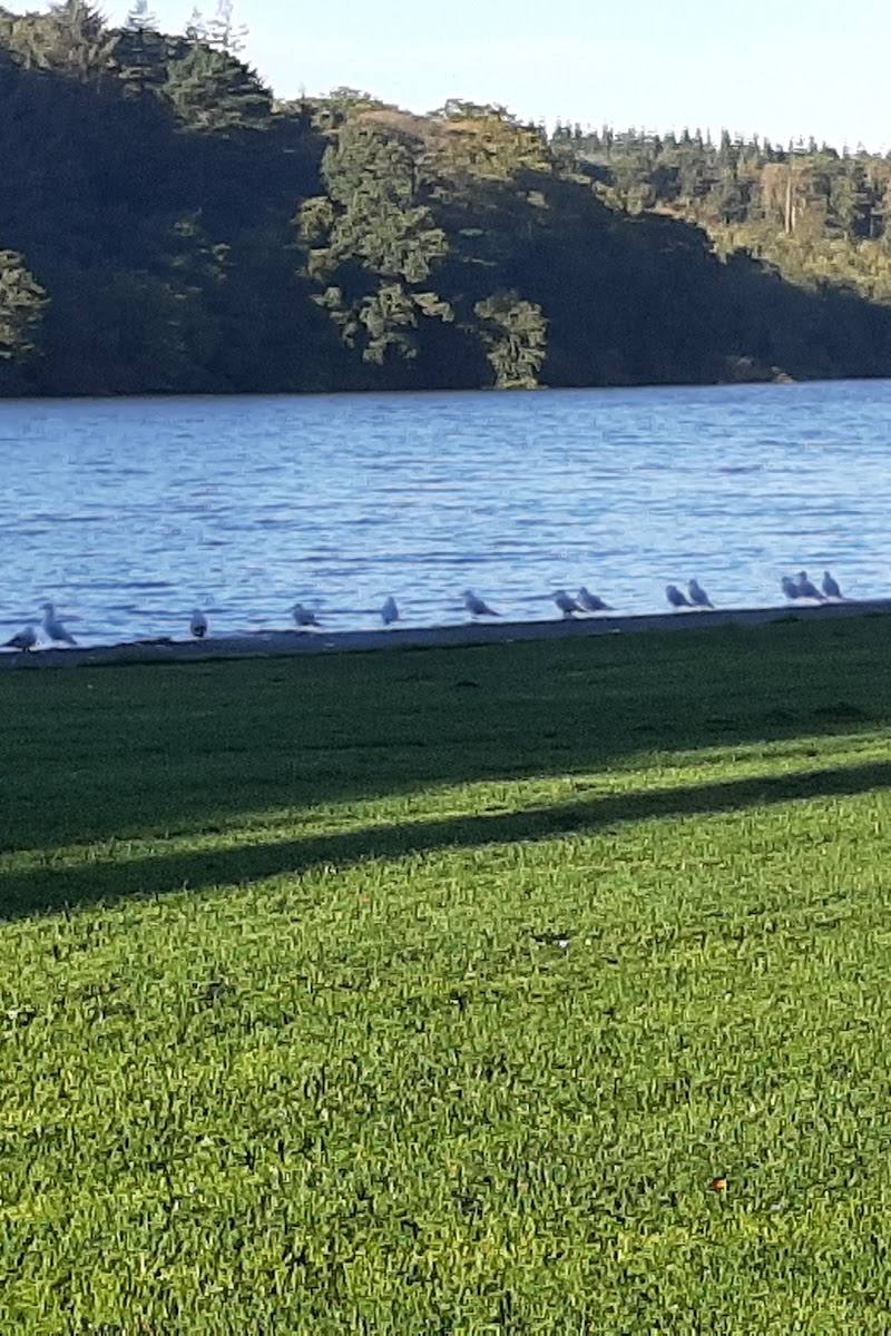 Castlewellan Forest Park