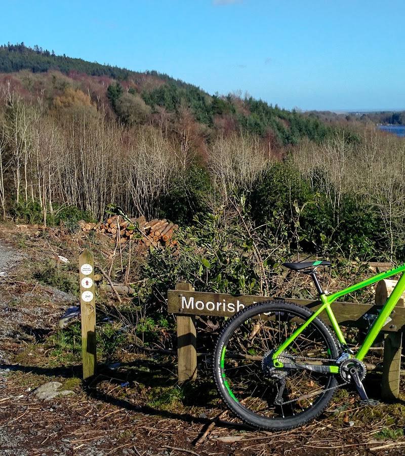 Castlewellan Forest Park — Place photograph