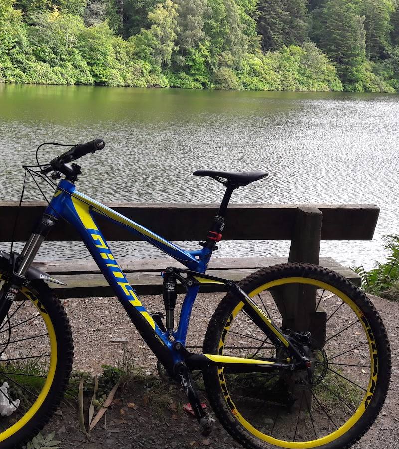 Castlewellan Forest Park