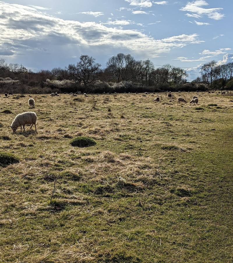 Castor Hanglands National Nature Reserve — Source image