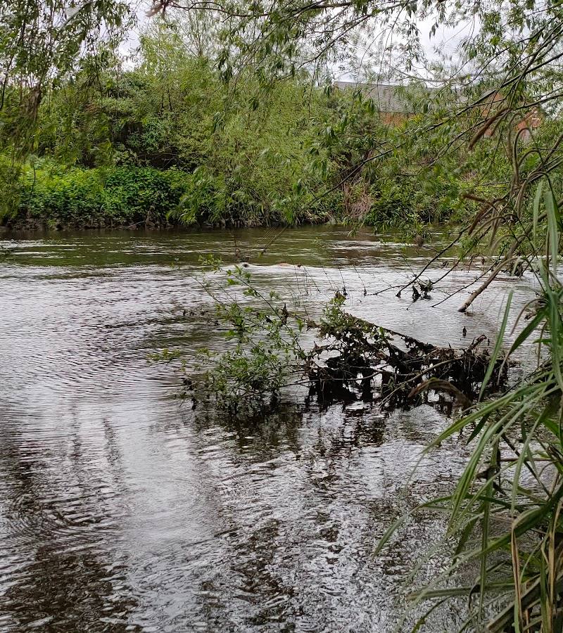 Centenary Riverside Nature Reserve — Source image