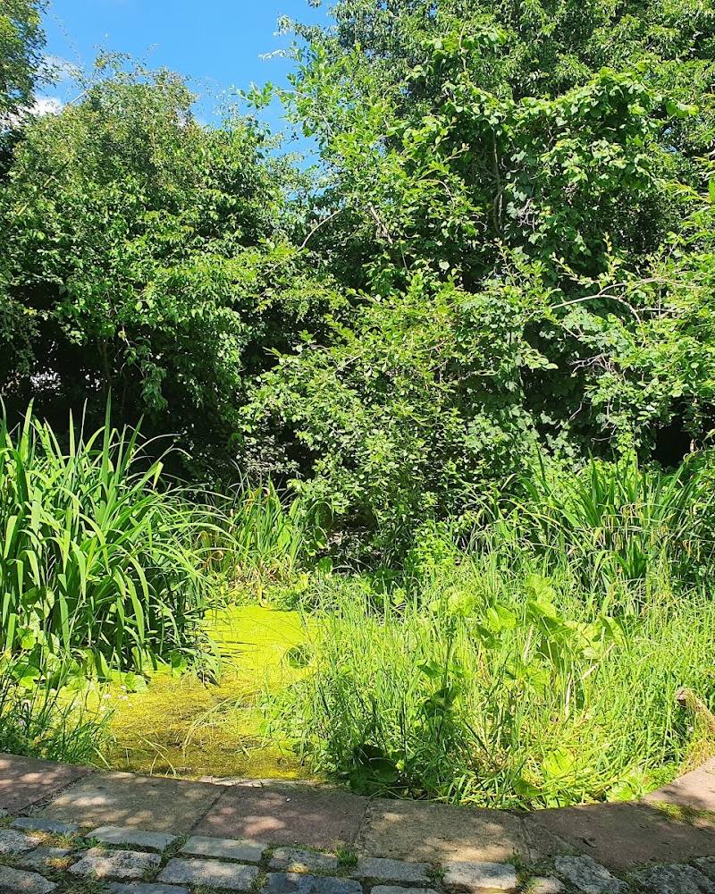 Centre for Wildlife Gardening – London Wildlife Trust — Source image