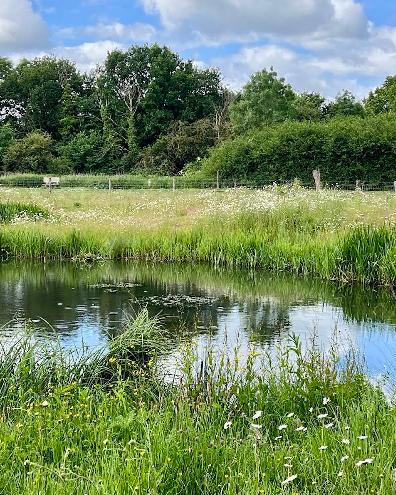 Chamber Mead Wetlands — Source image