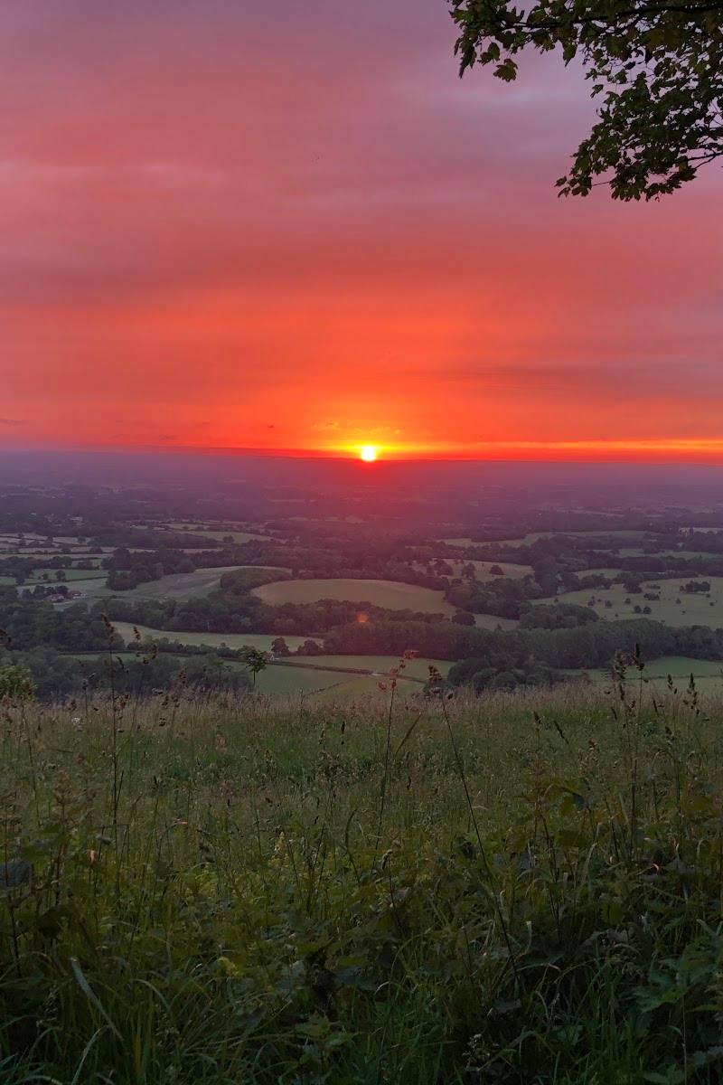Chanctonbury Ring