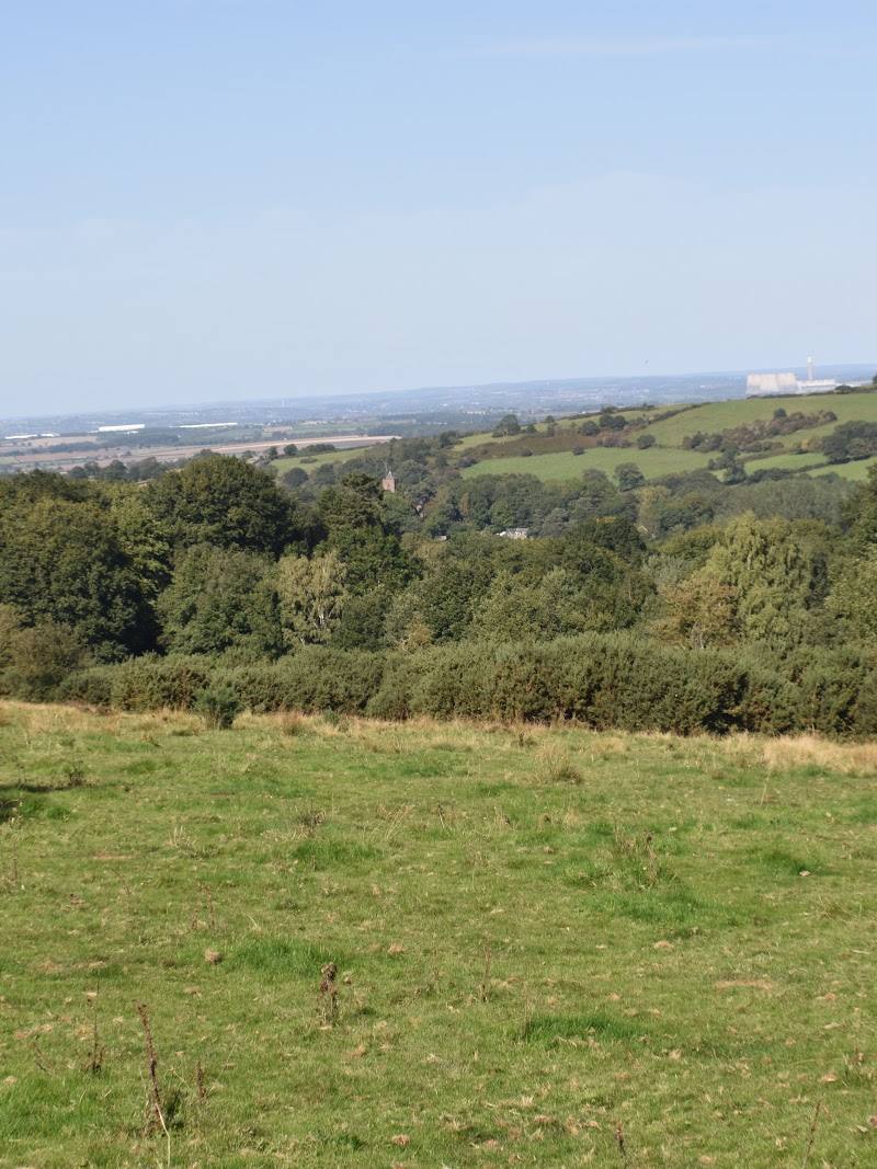 Charley Woods