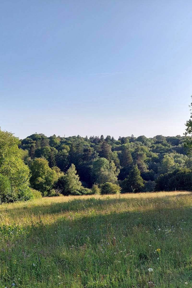 Chatsworth Park — Place photograph