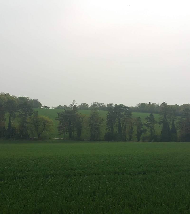 Chatsworth Park