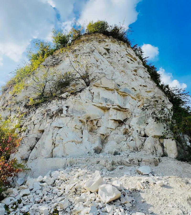 Cherry Hinton Chalk Pits