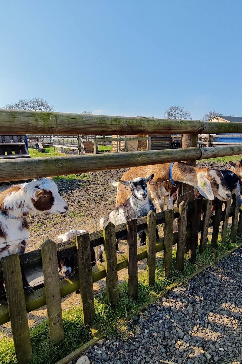 Cherry Tree Farm, Methwold