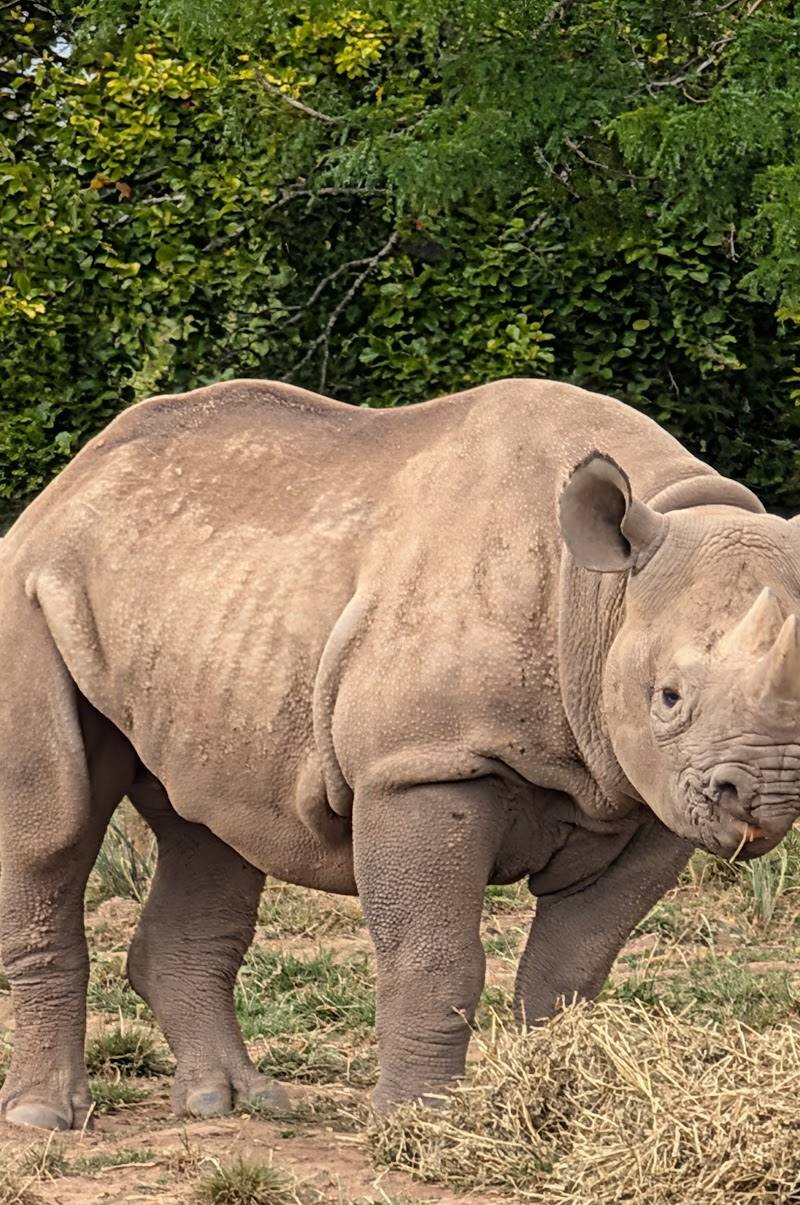 Chester Zoo