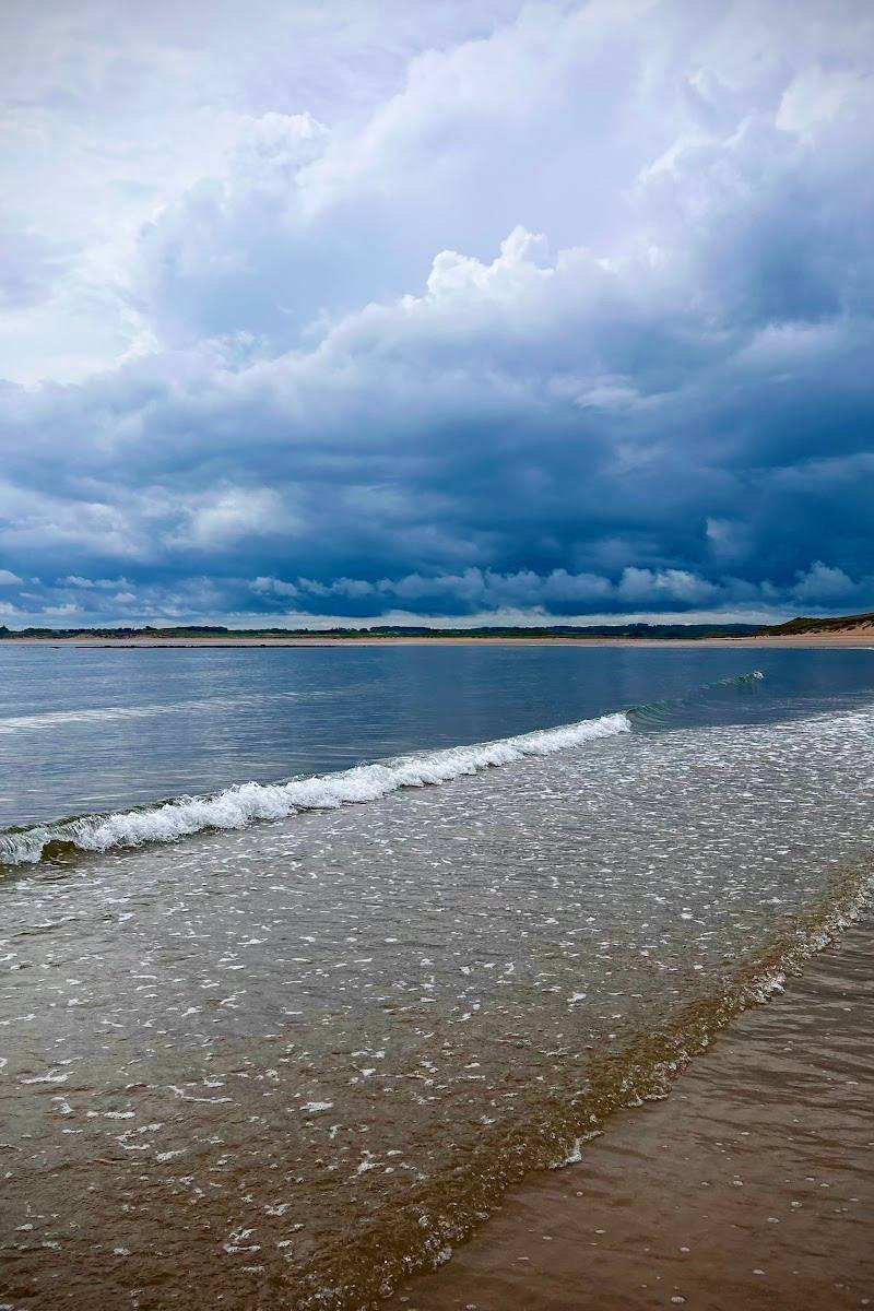 Cheswick Sands & Nature Reserve