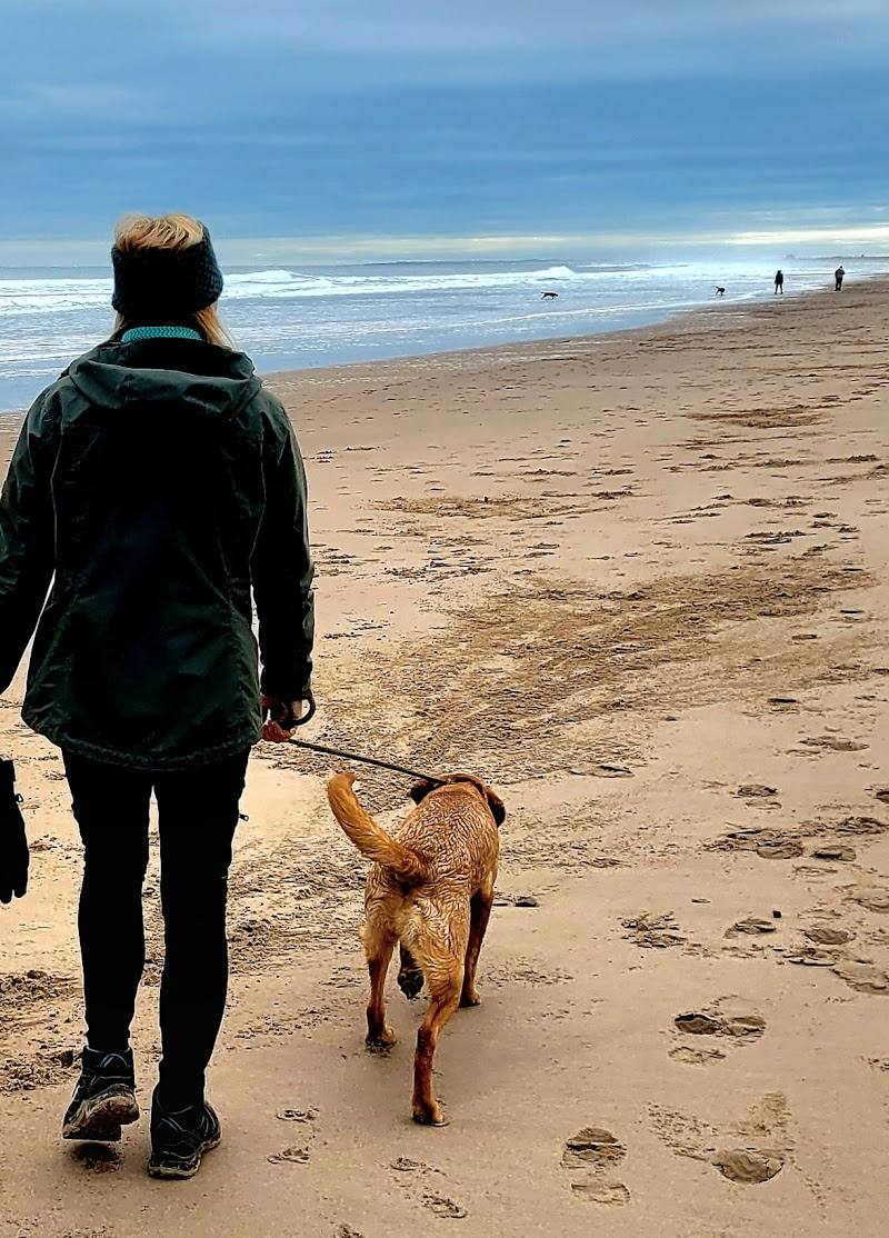 Cheswick Sands & Nature Reserve