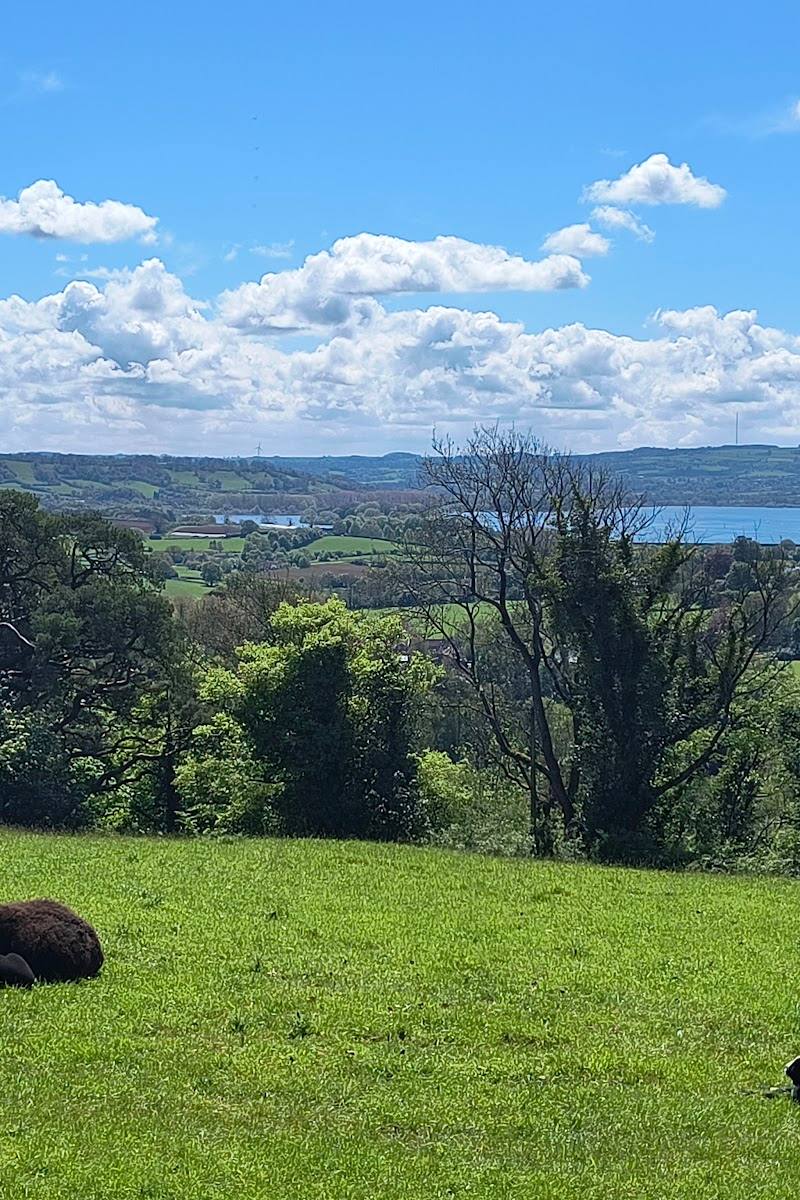 Chew Valley Animal Park — Place photograph (2 of 3)