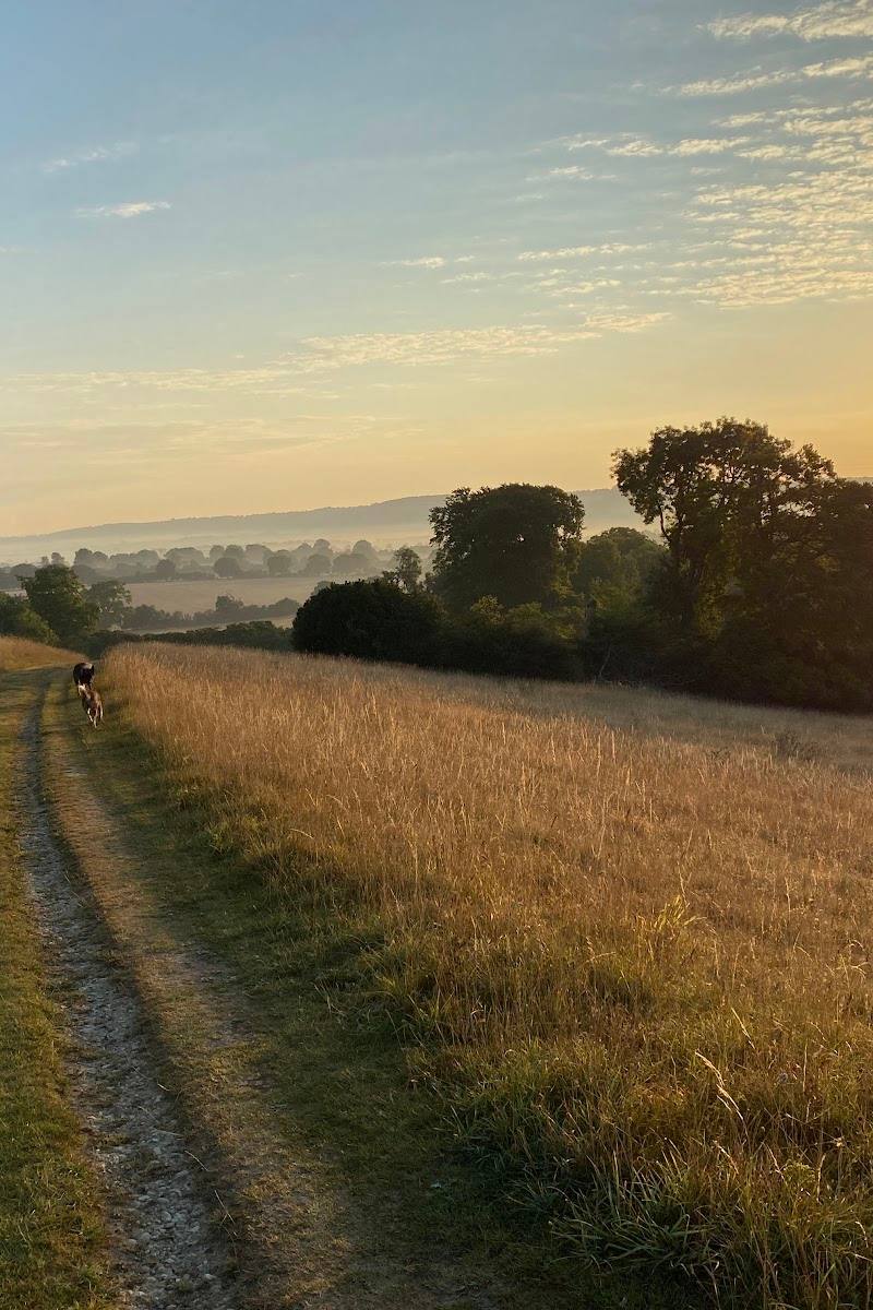 Chilterns National Landscape — Place photograph