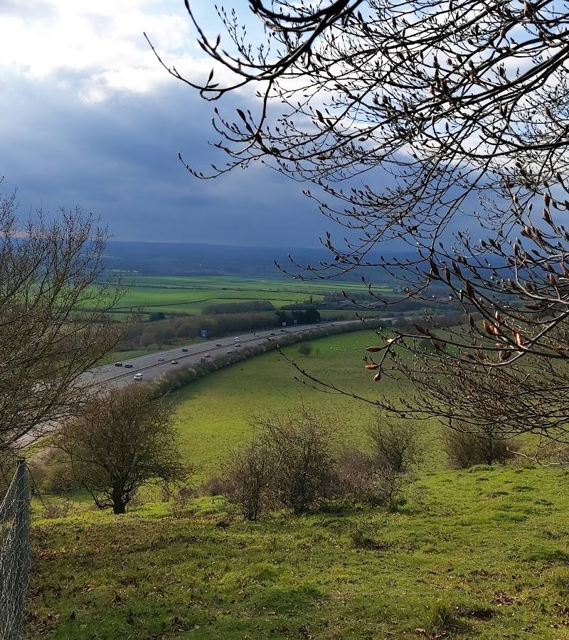 Aston Rowant National Nature Reserve — Source image