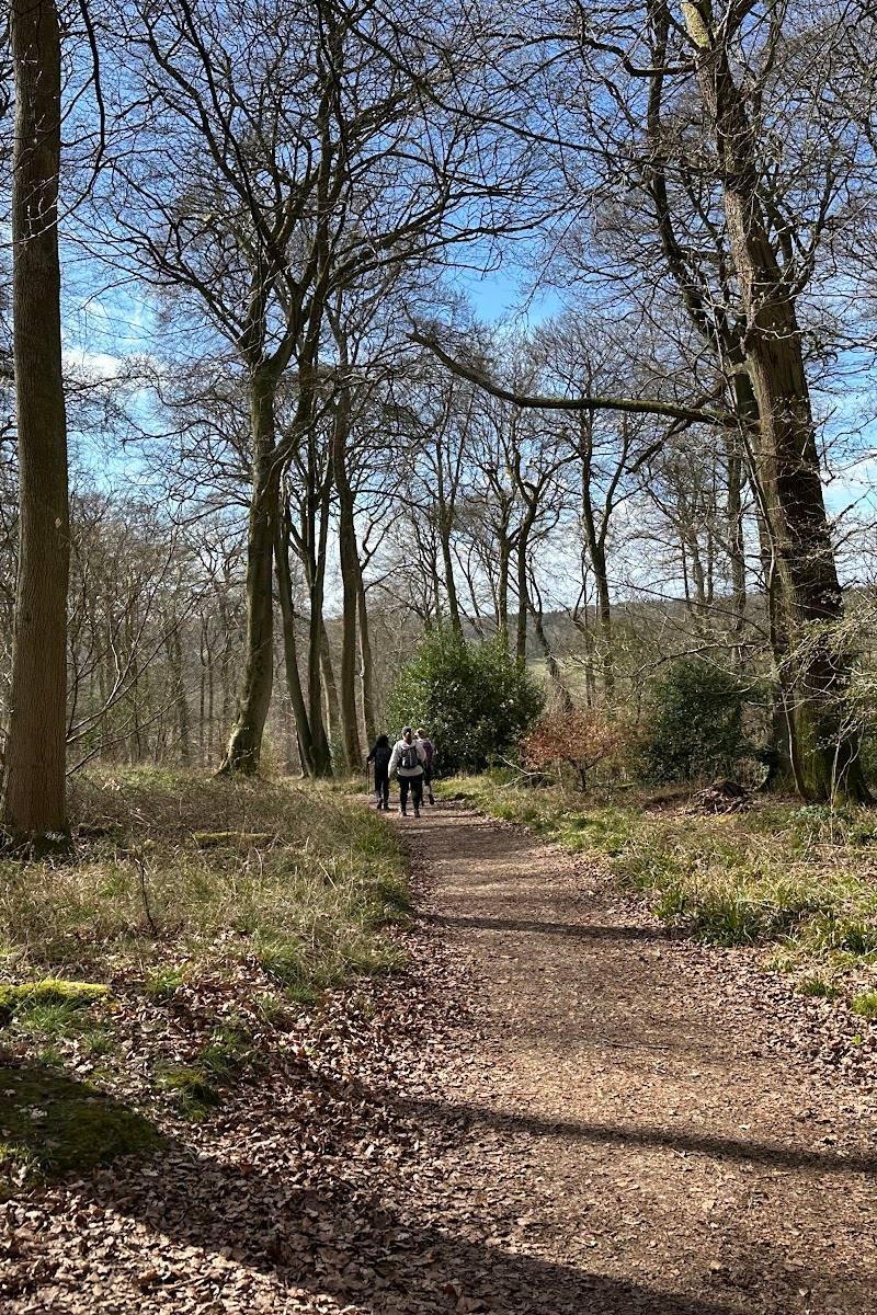 CHILTERNS NATURE - COOMBE HILL NATURE RESERVE