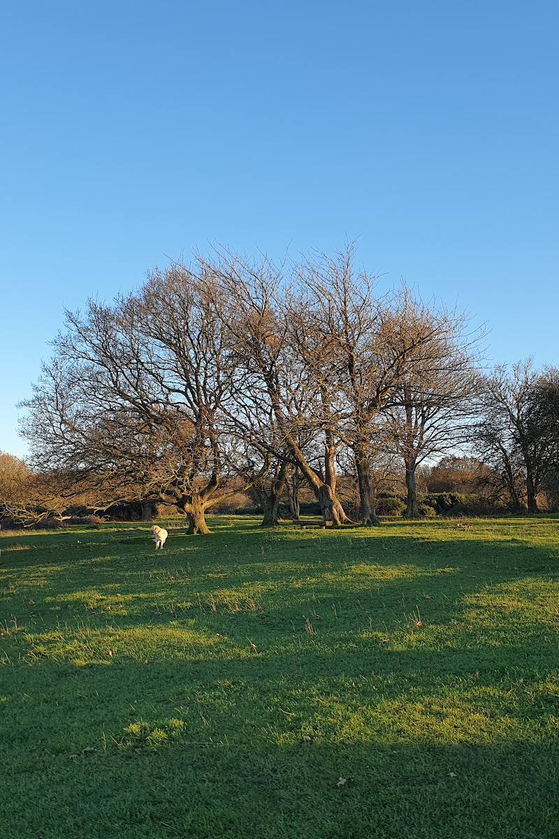 CHILTERNS NATURE - COOMBE HILL NATURE RESERVE