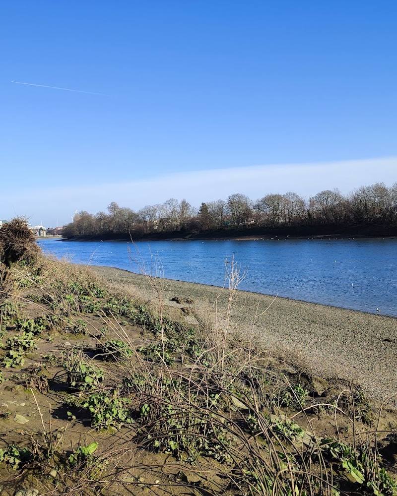 Chiswick Eyot — Source image