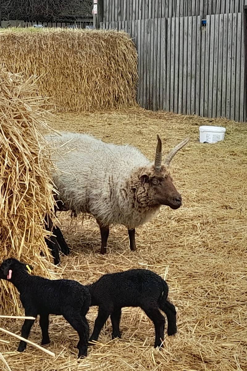 Church Farm - Stow Bardolph