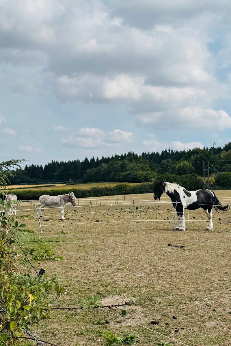 Cley Hill — Place photograph (2 of 3)