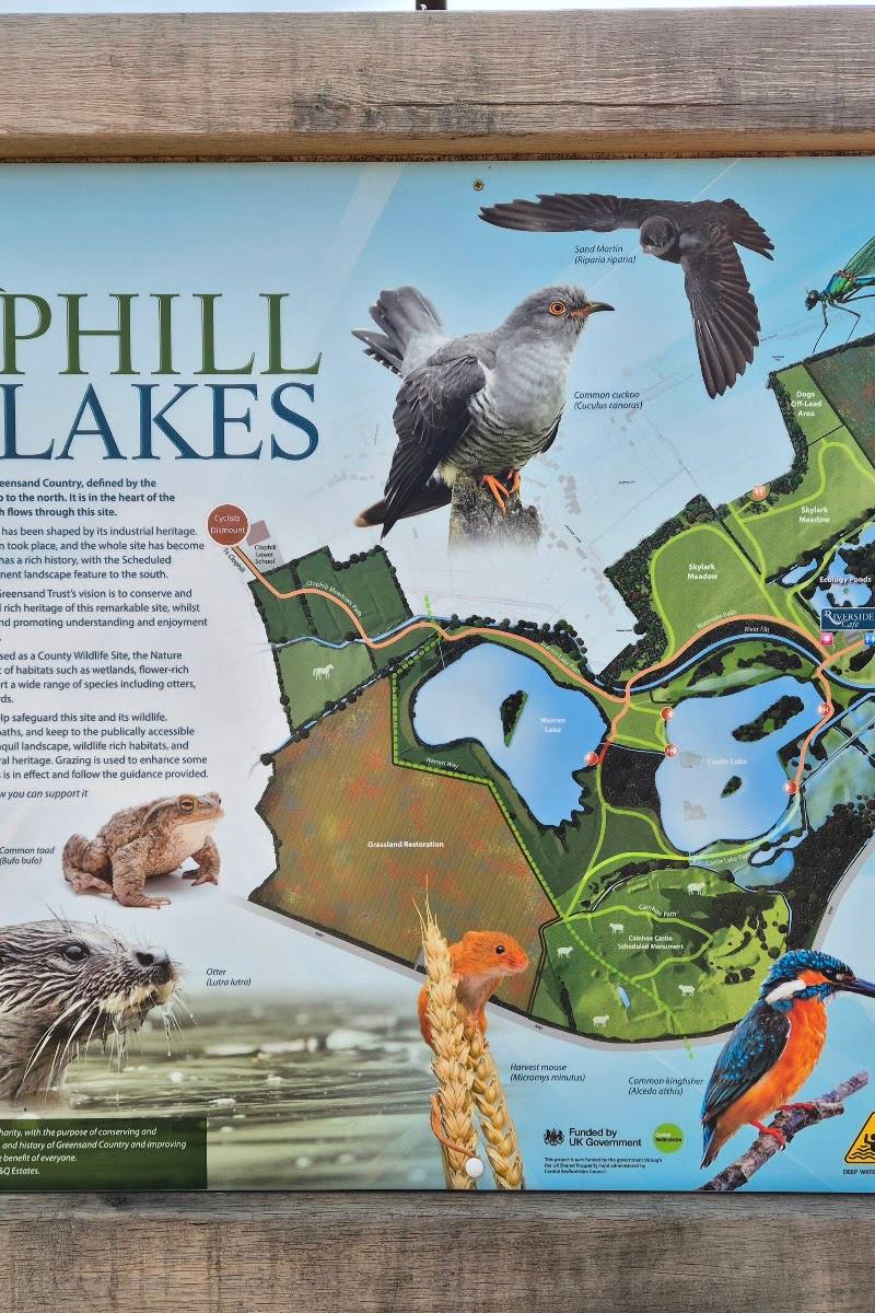 Clophill Lakes Nature Reserve