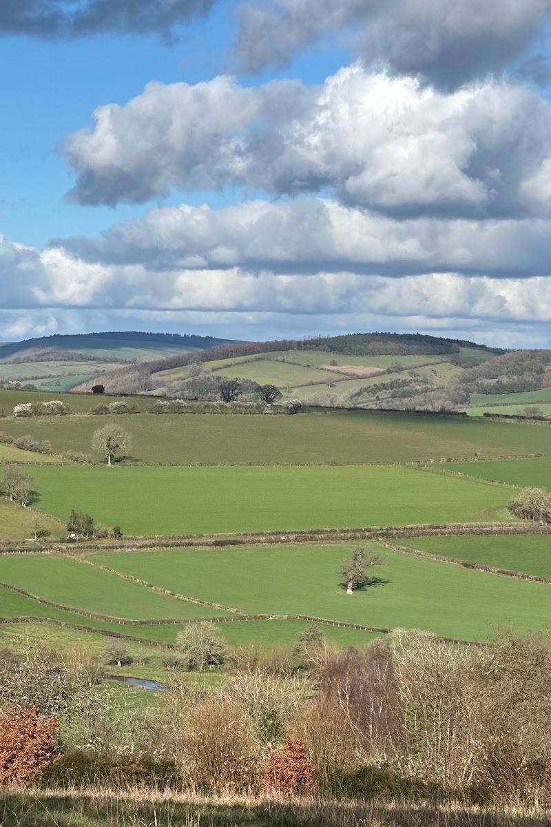 Clunton Coppice Nature Reserve — Place photograph