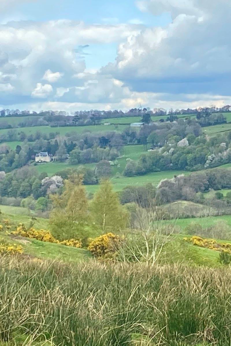 Clyde Valley Woodlands National Nature Reserve (Cartland Crags) — Place photograph