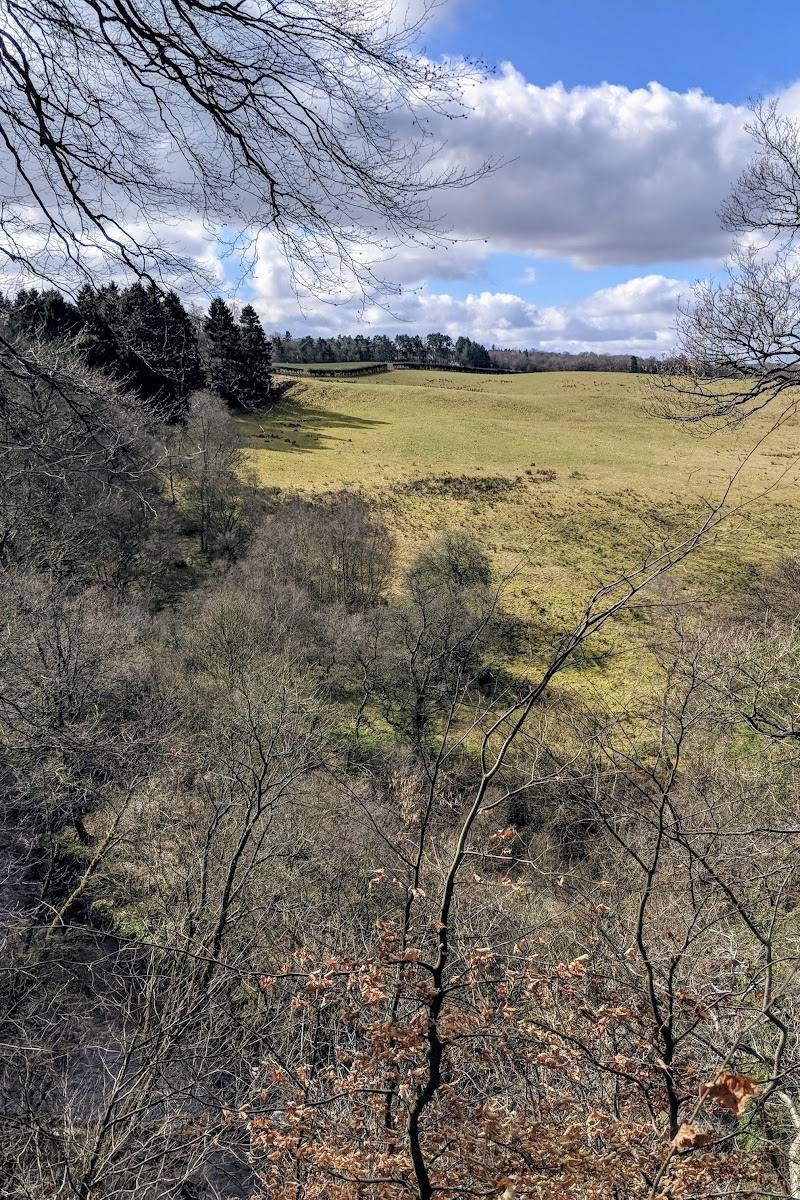 Clyde Valley Woodlands National Nature Reserve (Cleghorn Glen)