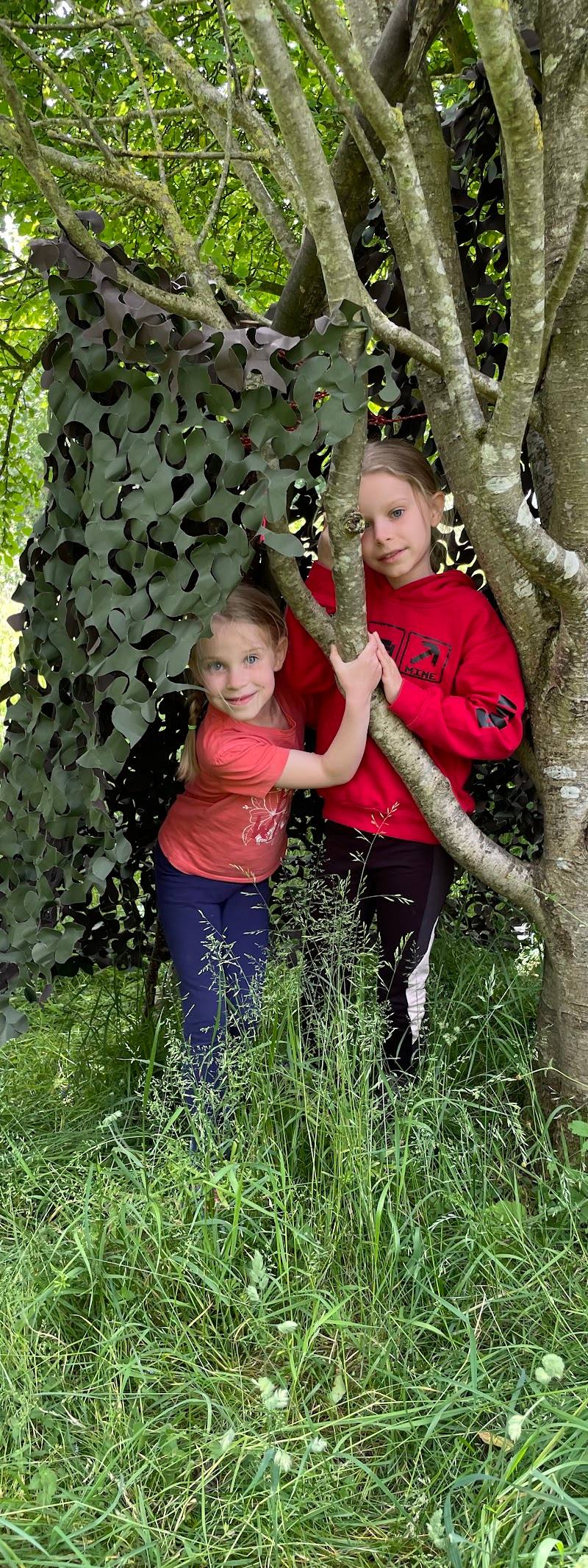 Coed Ceirios Forest School — Place photograph (2 of 3)