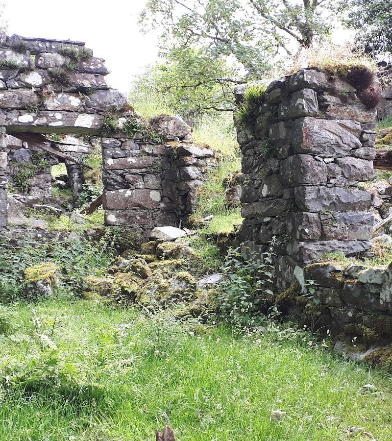 Coed Ganllwyd National Nature Reserve — Place photograph (3 of 3)