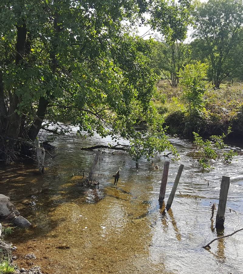 Coed y Bont — Place photograph