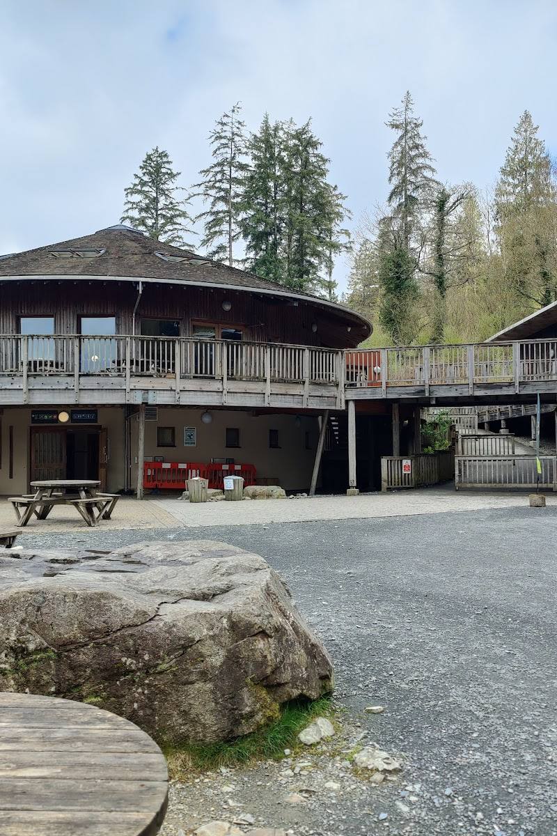 Coed-y-Brenin Forest Park — Place photograph (2 of 3)