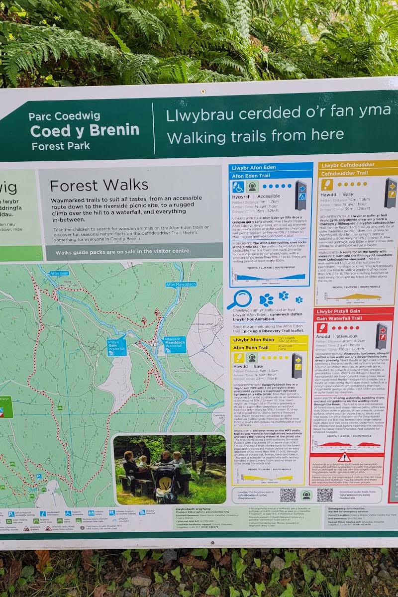 Coed-y-Brenin Forest Park — Place photograph (3 of 3)