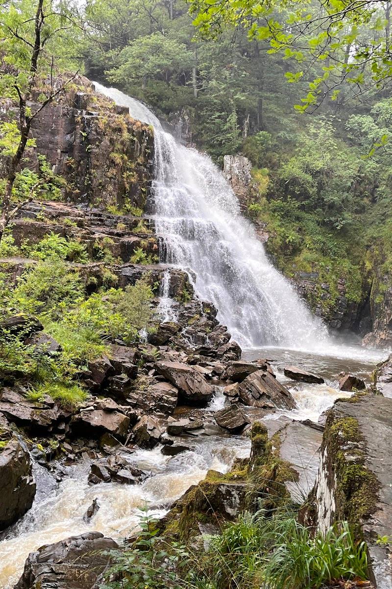 Coed-y-Brenin Forest Park — Place photograph