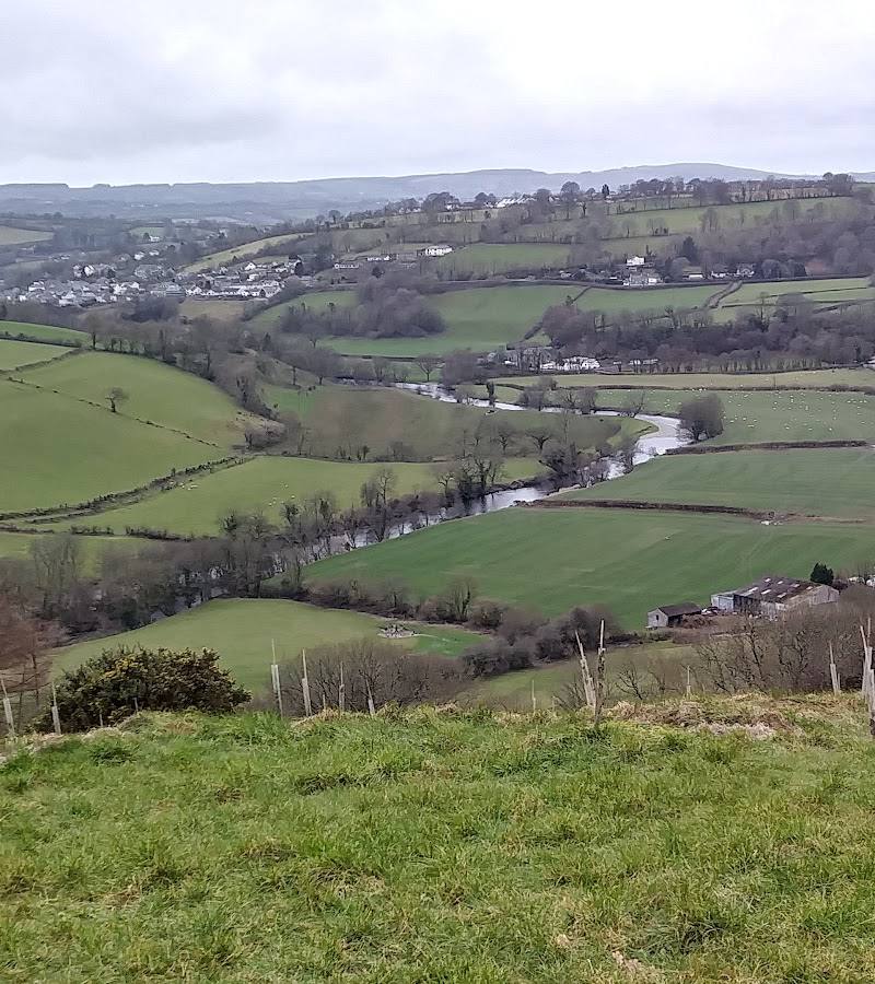 Coed y Foel — Place photograph