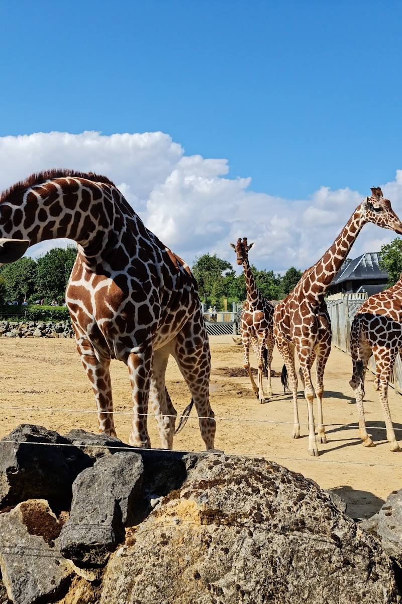 Colchester Zoo