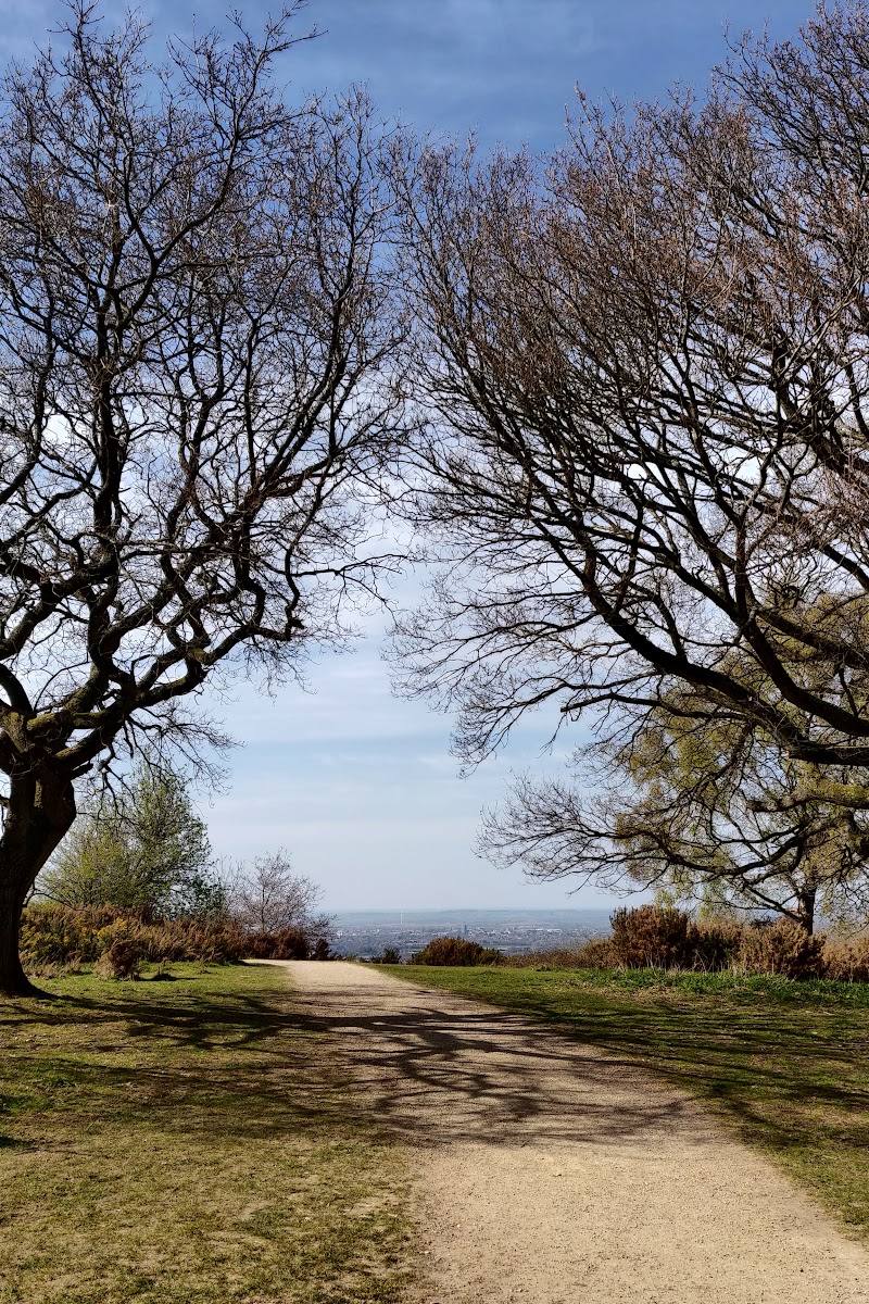 Coombe Hill