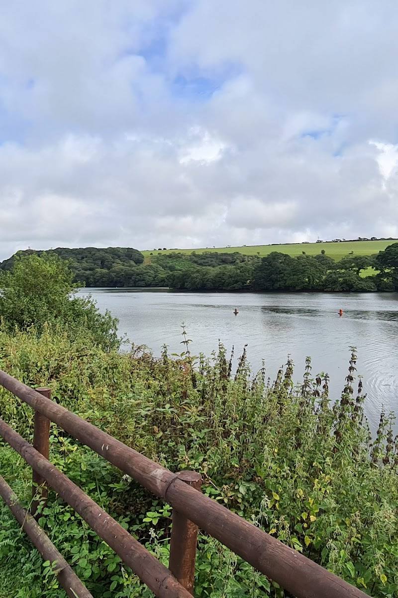 Cornish Seal Sanctuary