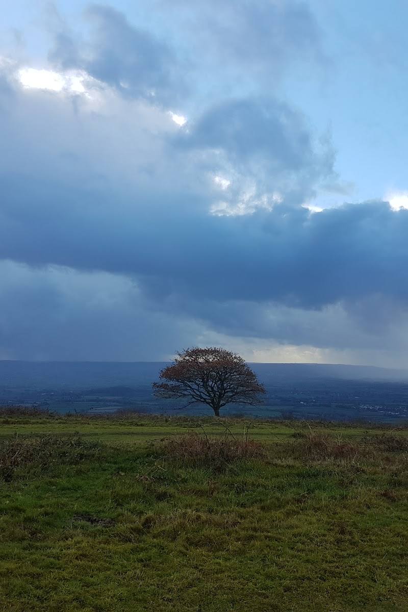 Cothelstone Hill — Place photograph (2 of 3)