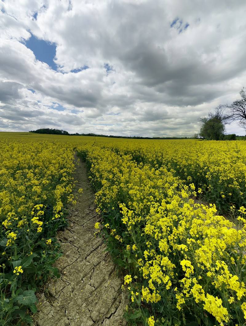 Coton Countryside Reserve