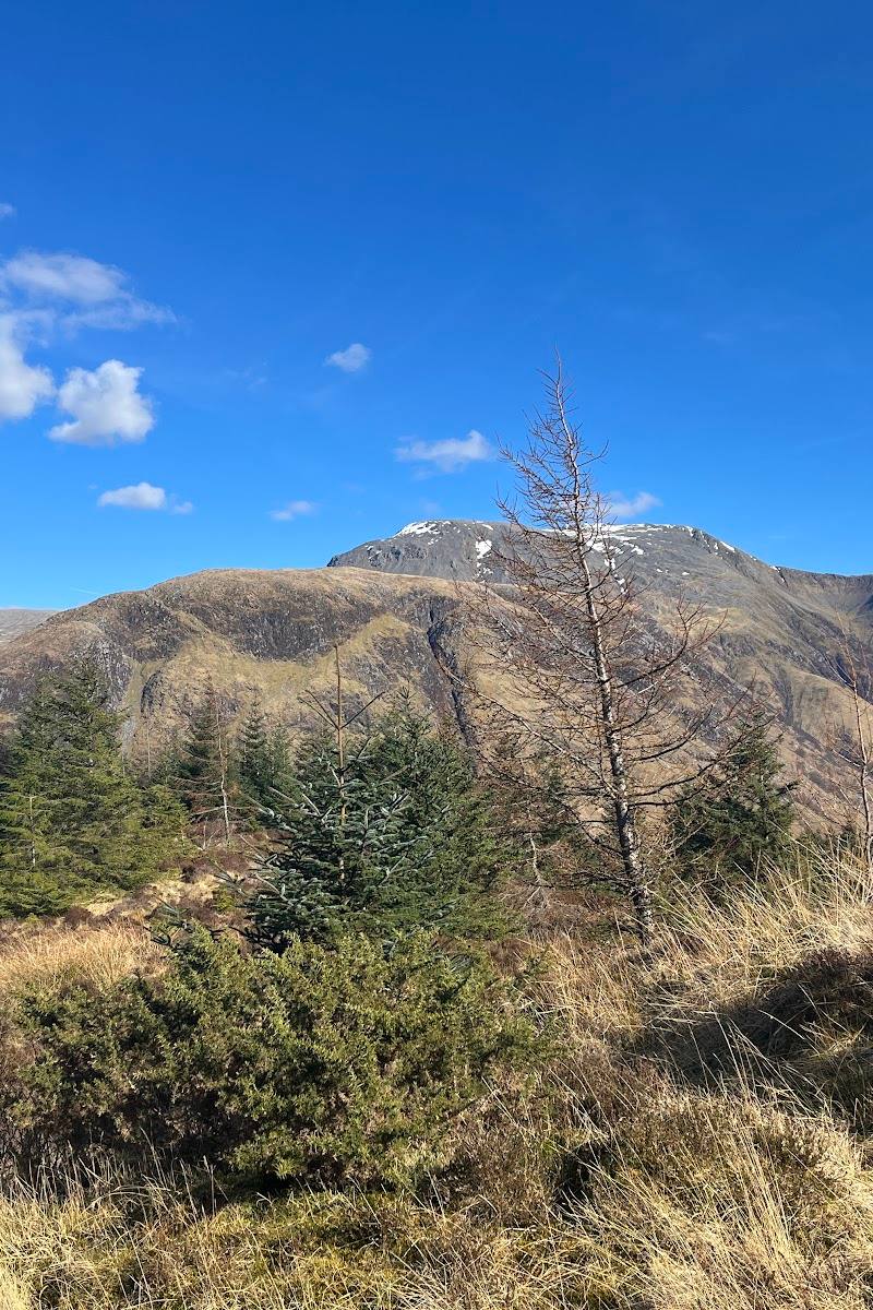 Cow Hill Trail — Place photograph