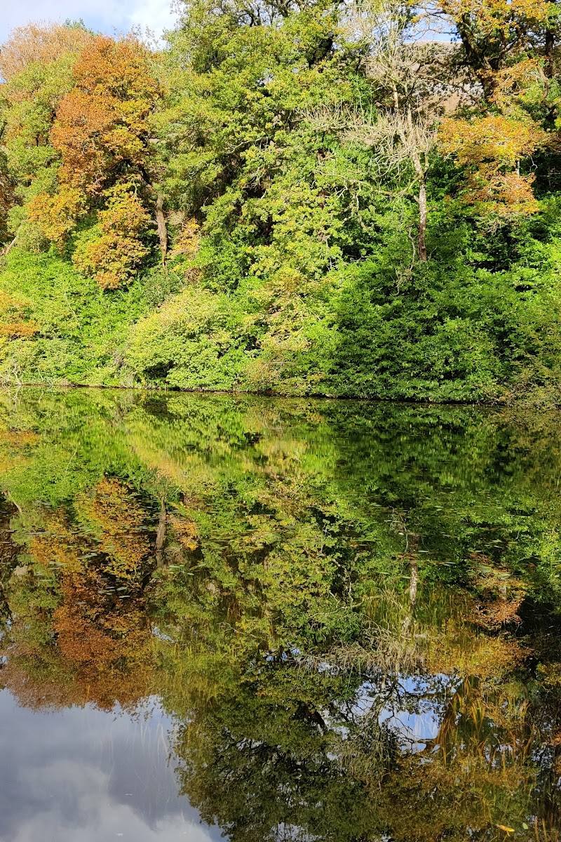 Craig-y-Nos Country Park