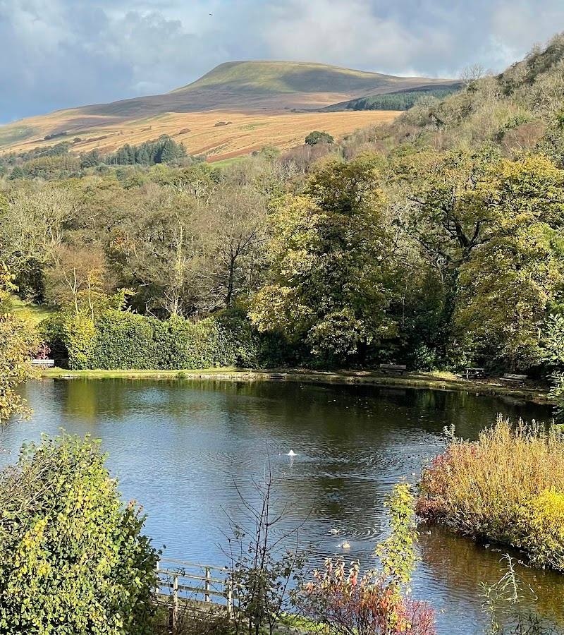 Craig-y-Nos Country Park — Place photograph