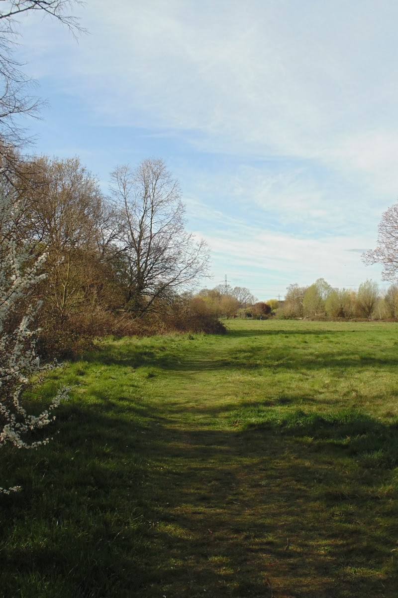 Cranmer Green LNR — Place photograph