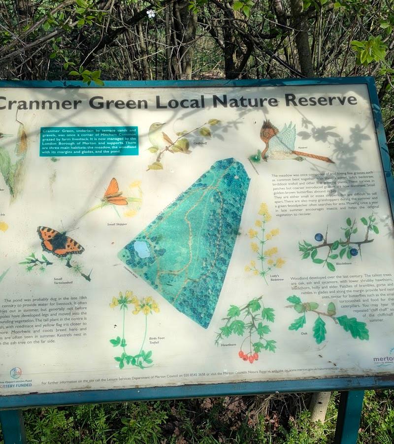 Cranmer Green LNR — Place photograph (2 of 3)