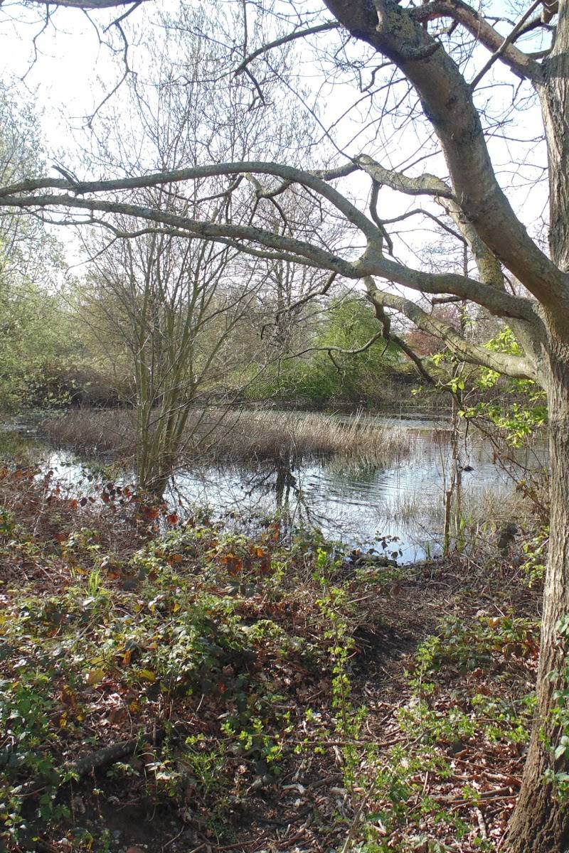 Cranmer Green LNR — Place photograph (3 of 3)