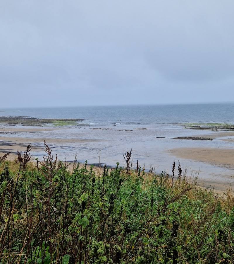 Cresswell Beach
