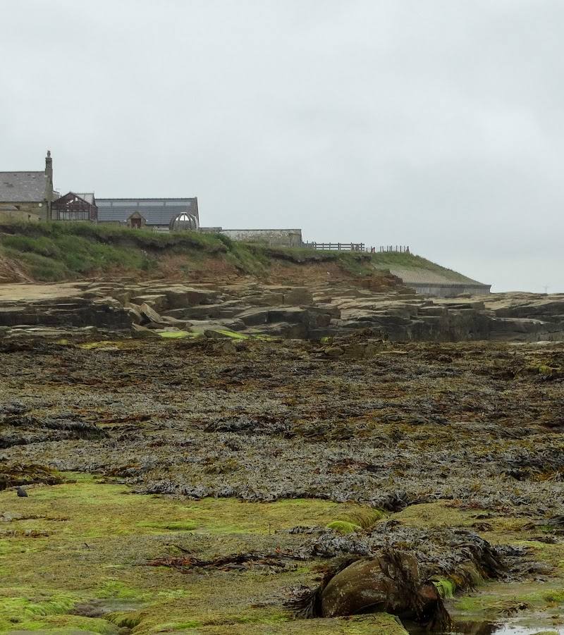 Cresswell Beach