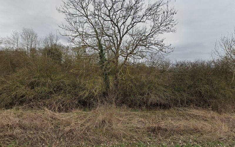 Cribb's Meadow — Source image